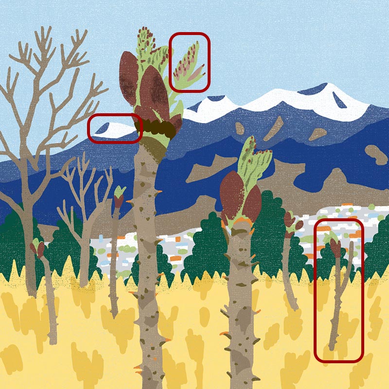 画像3: 3つのまちがいを探してください