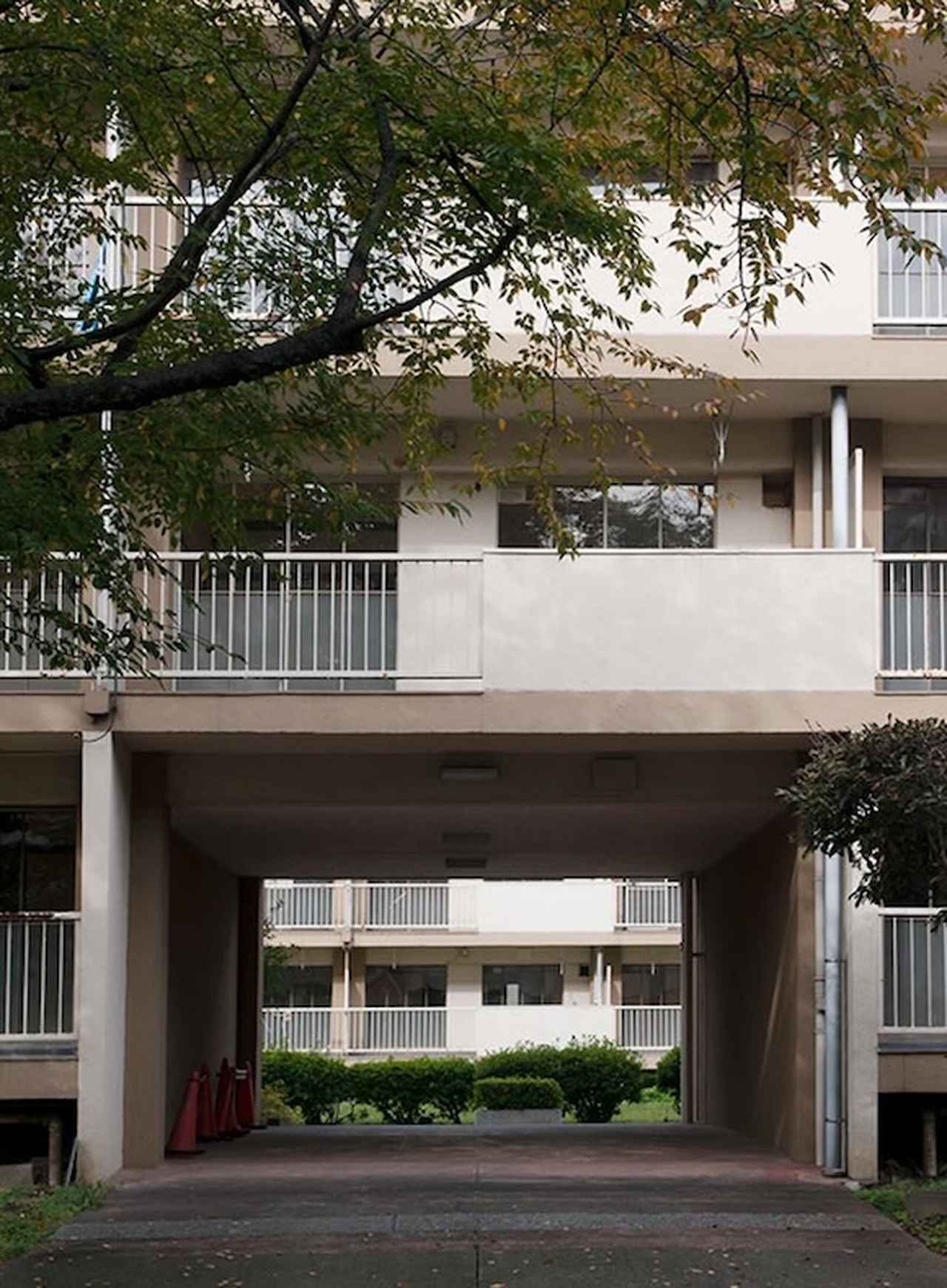 画像: 津端さん関係で掲載できる写真がないので、しばし、赤羽台団地の素敵な景色をお楽しみください。こちらは「板状階段室型住宅」が平行配置されているエリア。一見単調な配置に見えますが、建物の隙間をずらしたり、ピロティ（外部空間になった1階部分）を設けたりすることで、建物を突き抜けていく動線が上手に設けられています