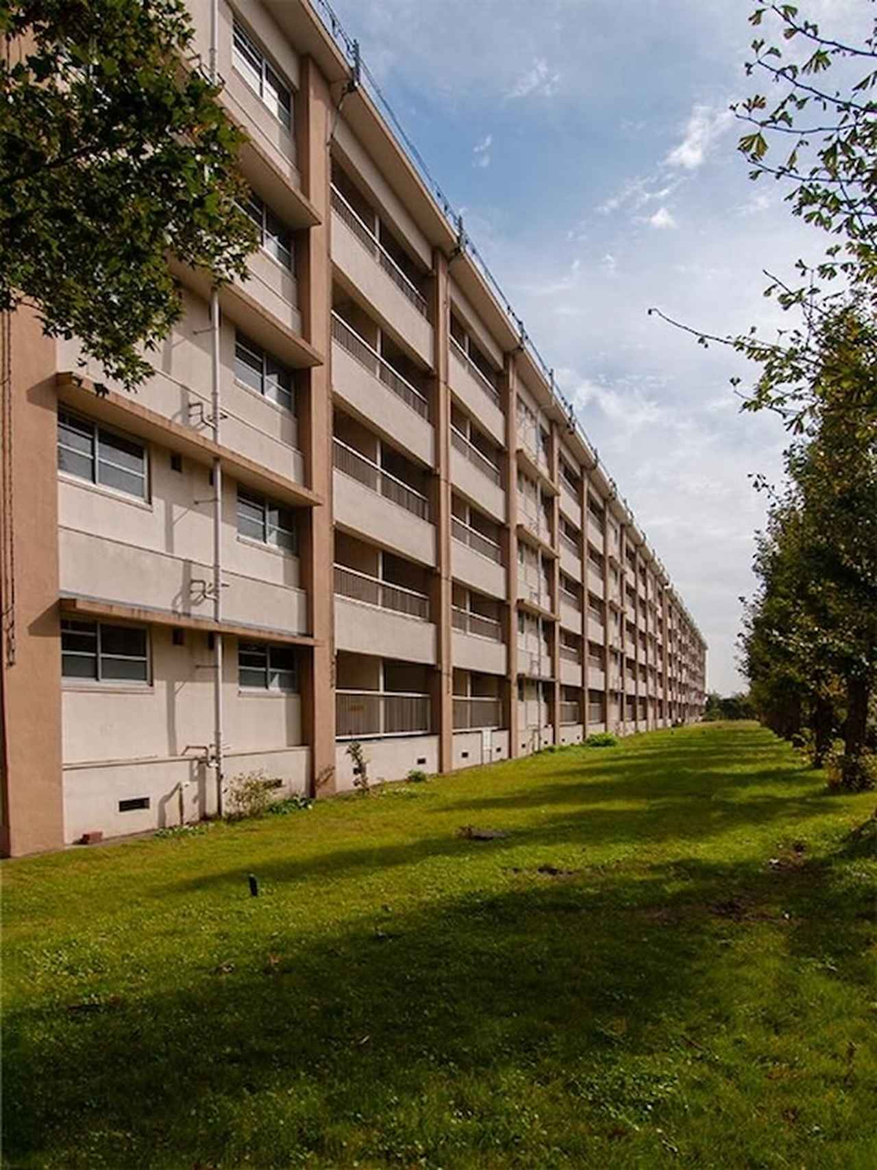 画像: 芝生ではないかもしれませんが、緑がしっかり刈り込まれて管理されているのが赤羽台団地のいいところでした