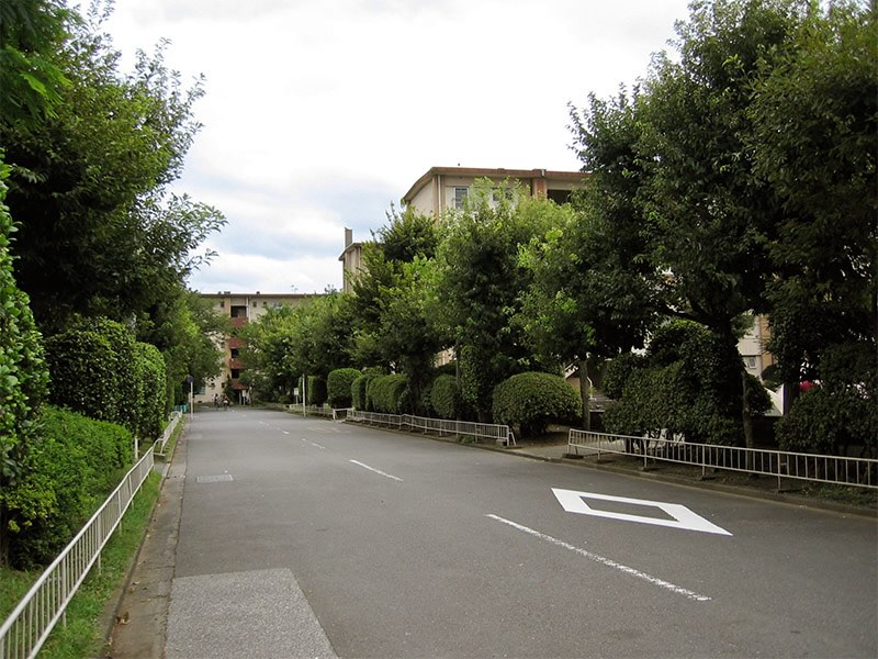 画像: 建物のほとんどは平行配置です。よく茂った緑地が広く、きれいに整備されているので、建て替え間際まで整然として見えました