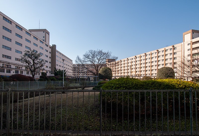 画像: こちらが城壁タイプ。左手の建物(50号棟)が通路の窓、右側が居室側の窓です(53号棟)。中庭に面している居室にはベランダがない珍しいタイプですが、これは「市街地住宅」と呼ばれる都市型の団地で見かけるレアなタイプです。「定番」から外れるプランが見られるのも赤羽台団地の魅力でした。正面奥の建物に大浴場がありました