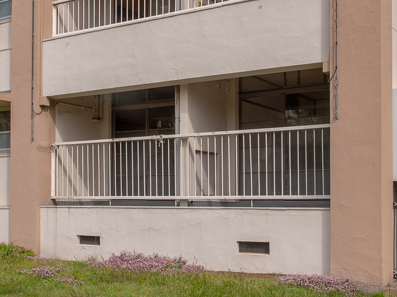 画像: 欄間もある鉄サッシ。垂れ壁（垂れ下がった壁のこと）の影になって見えにくいですが、掃き出し窓の上の欄間部分にもガラス窓がはまっているのが見えるでしょうか。サッシはアルミサッシが登場する前の鉄製。下方の窓はプライバシー配慮のためかすりガラスに。これは障子の効果を取り入れる意図があったのでしょうか？