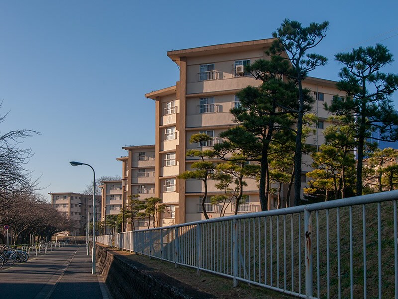 画像: 赤羽台団地からの階段を登るとこんな風景が。団地好きとしては準備運動なしで1,500m走を走らせるような、いきなりの心臓のバクバク感で卒倒しそうです。「はやい、はやいよ！」という、戦いの中で新人類に覚醒する天パの少年の同僚のセリフが頭を駆け巡ります。こういうときは慌てた方が負けです