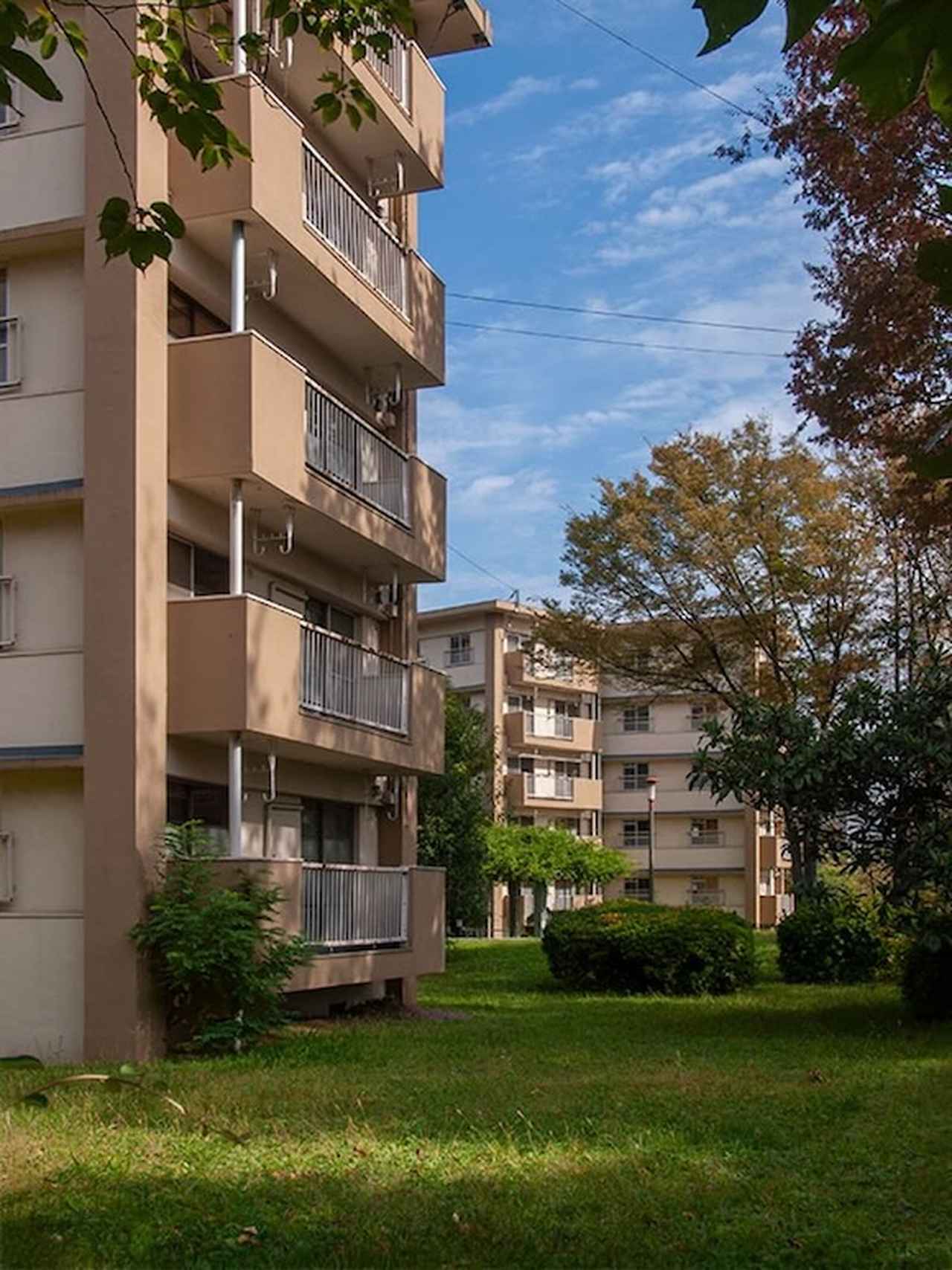 画像: 赤羽駅側の道路沿いは、スッキリ刈り取られた芝に松の木の植栽なのに対して、一歩団地の内側に入ると、生い茂った緑の中に「スターハウス住棟」が点在して、山道のような歩道で結ばれているという牧歌的な雰囲気に。とても赤羽駅からわずか300mほどの距離とは信じられない世界が広がっていました