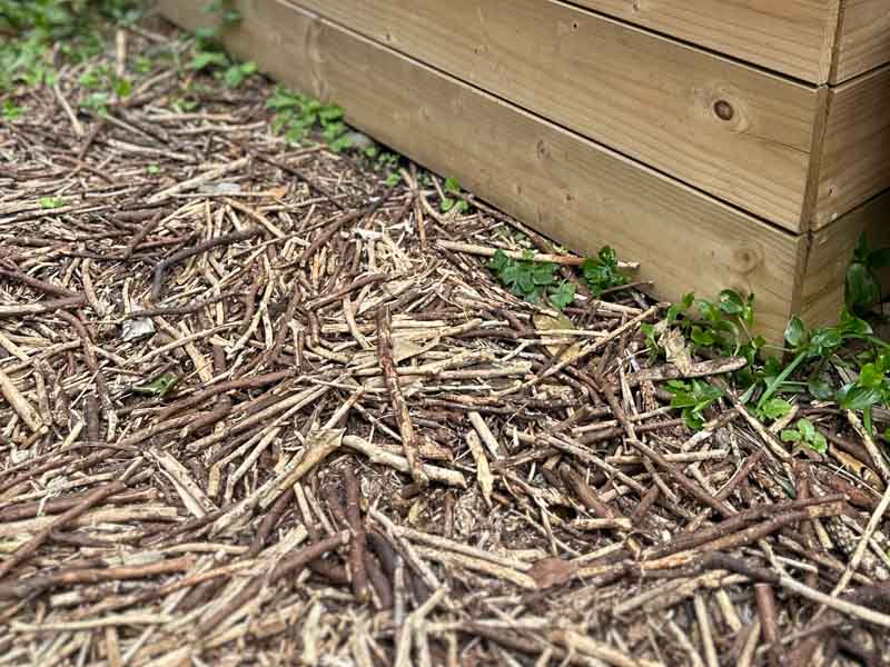 画像: コンポスト前は毎日踏み入れる場所。枝チップのおかげで靴も汚れずに快適です