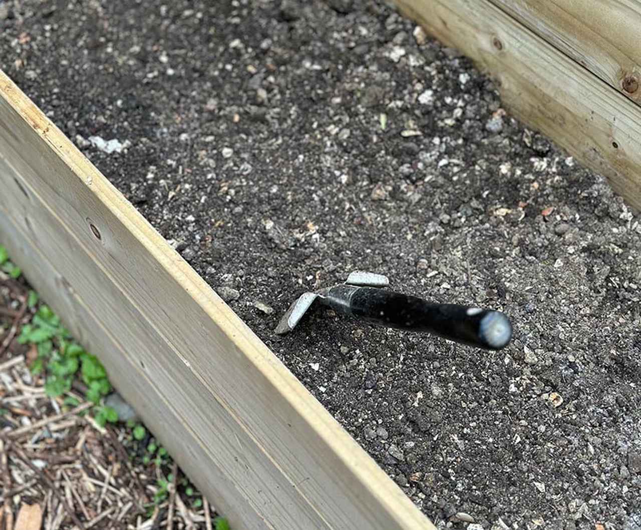 画像: においゼロで快適！わが家の「コンポスト」3つの使い方。キッチン、ベランダ、庭、畑…ごみを入れるだけで“豊かな土”に生まれ変わる小さな循環／さとうゆみこさん（フラワー＆グリーンスタイリスト） - 天然生活web