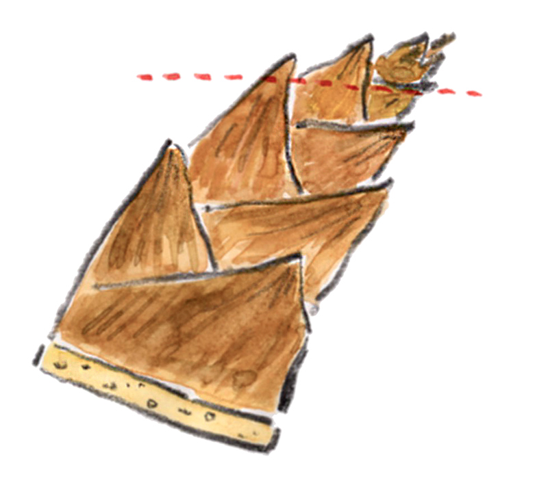 画像: 春のごちそう「たけのこ」旬を“味わい尽くす”人気レシピ10選|4月のおすすめ記事