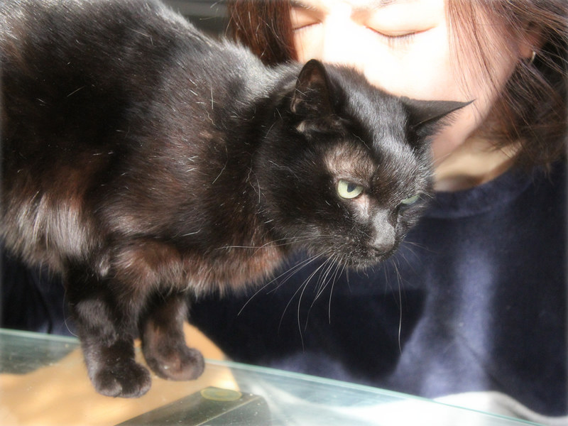 画像: 夫の猫吸い