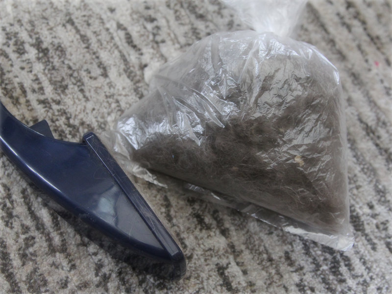 画像: 冬の絨毯はかなり毛まみれ