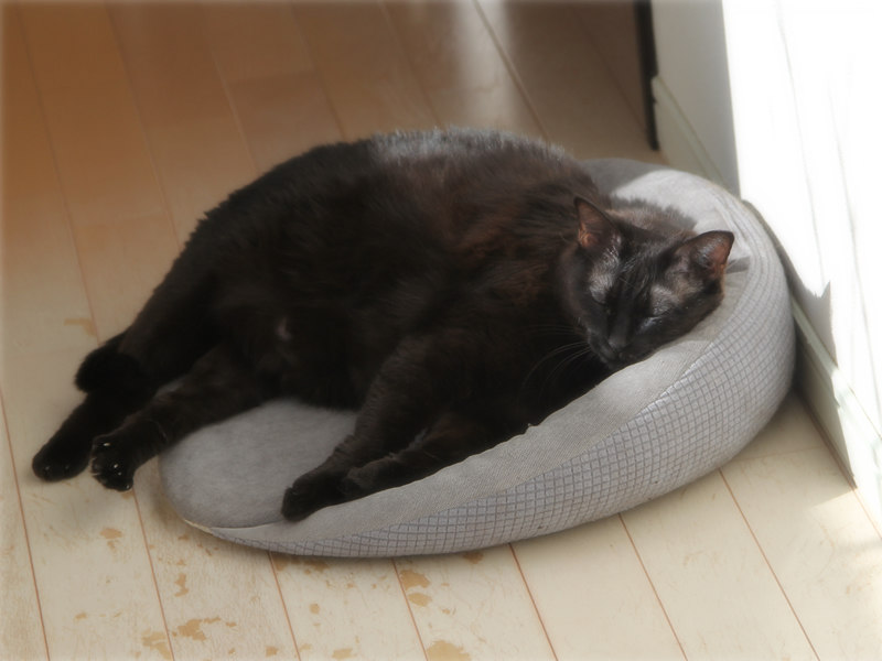 画像: ジャストサイズを買ったはずが、はみ出ている方