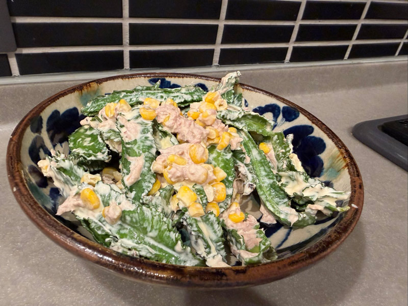 画像3: 家族と行く、8年ぶりの宮古島