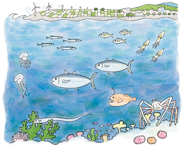 画像: 第34回地球環境大賞 環境を想い広がる持続可能性