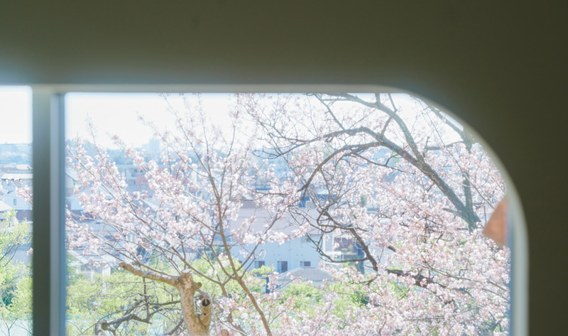 画像: 駅から離れている分、眺めがいいのも魅力。窓の先に見えるのは満開の桜
