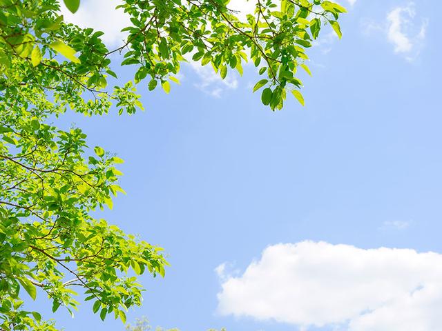 画像: OK習慣 04 頭のなかで考えごとが止まらないときは深呼吸を5回