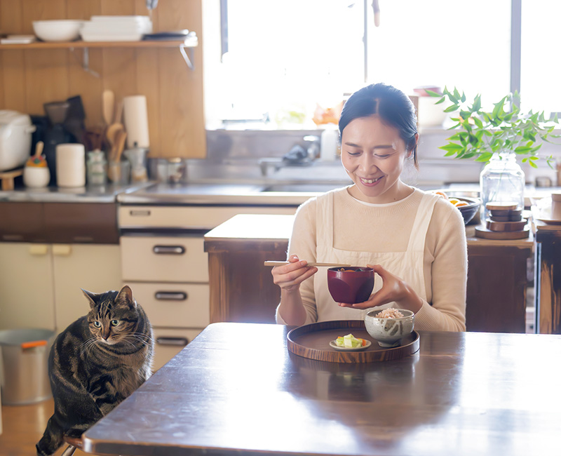 画像: 愛猫のシマちゃんと昼食を食べる小鮒さん。ふだんは時間をかけなくてもつくれる炊きたてごはんと味噌汁、漬物が定番