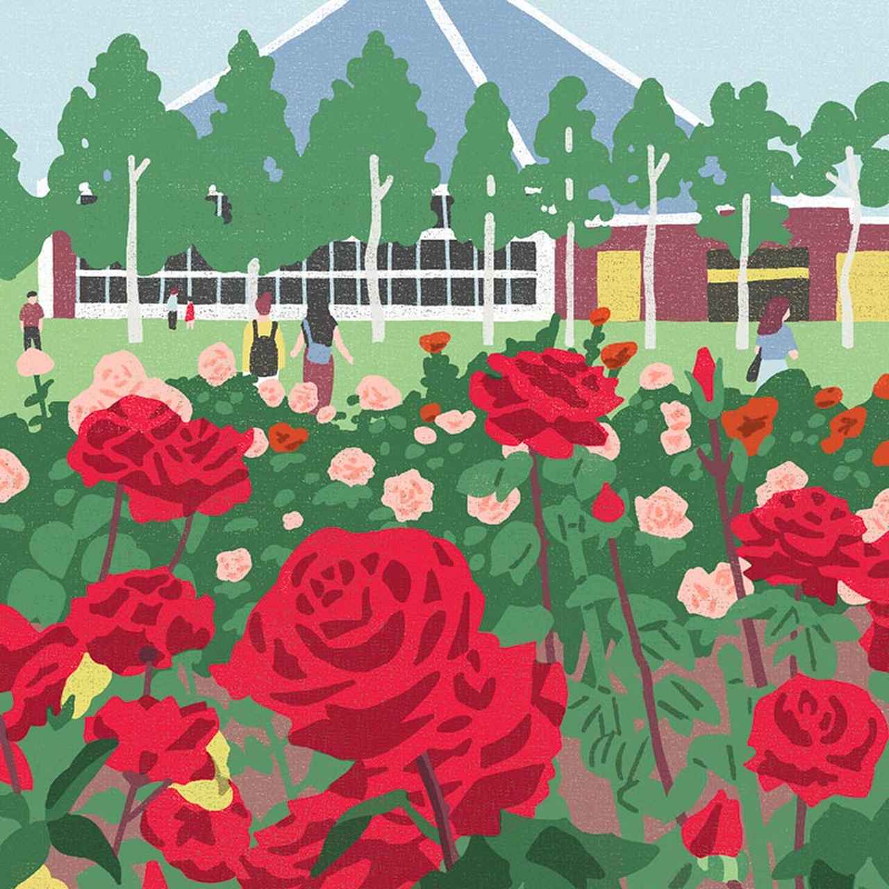 ちょっと難しいまちがい探し｜バラ (1/2) - 天然生活web