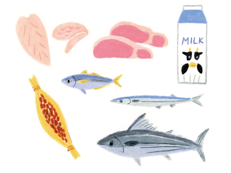 画像: おすすめの食材
