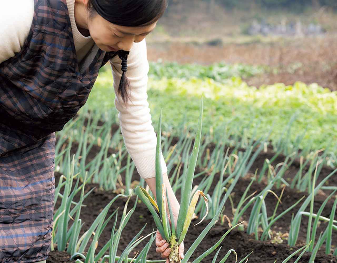 画像: 薬膳料理家・小鮒ちふみさんに教わる“がんばらない”薬膳ごはんの知恵。旬の野菜を主役にすれば「心と体の土台」が自然に整う - 天然生活web