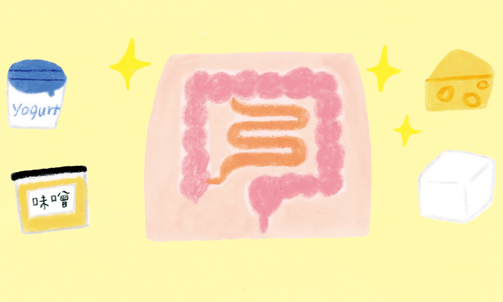 画像: 2．発酵食品で腸内環境をととのえる