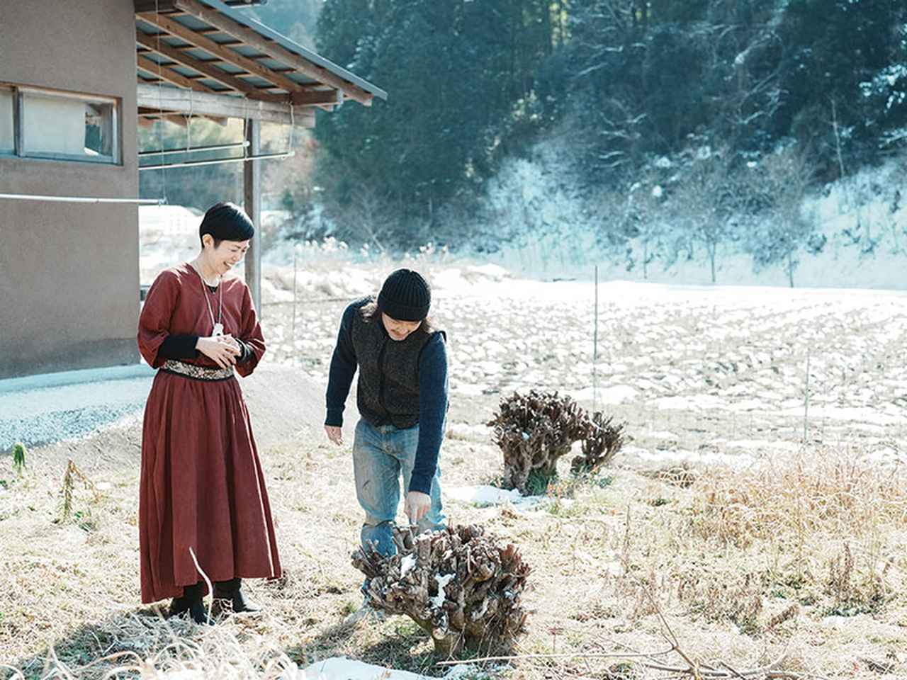 画像: 工房の横に広がる楮の畑へ。刈り取った楮の根元が残る
