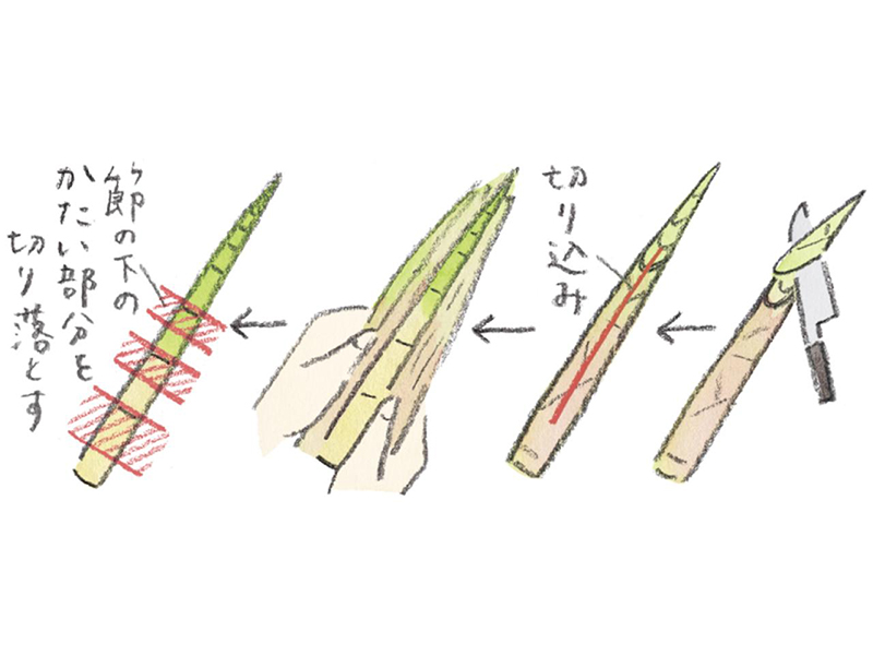 画像: 「根曲がり竹」の下処理のコツ