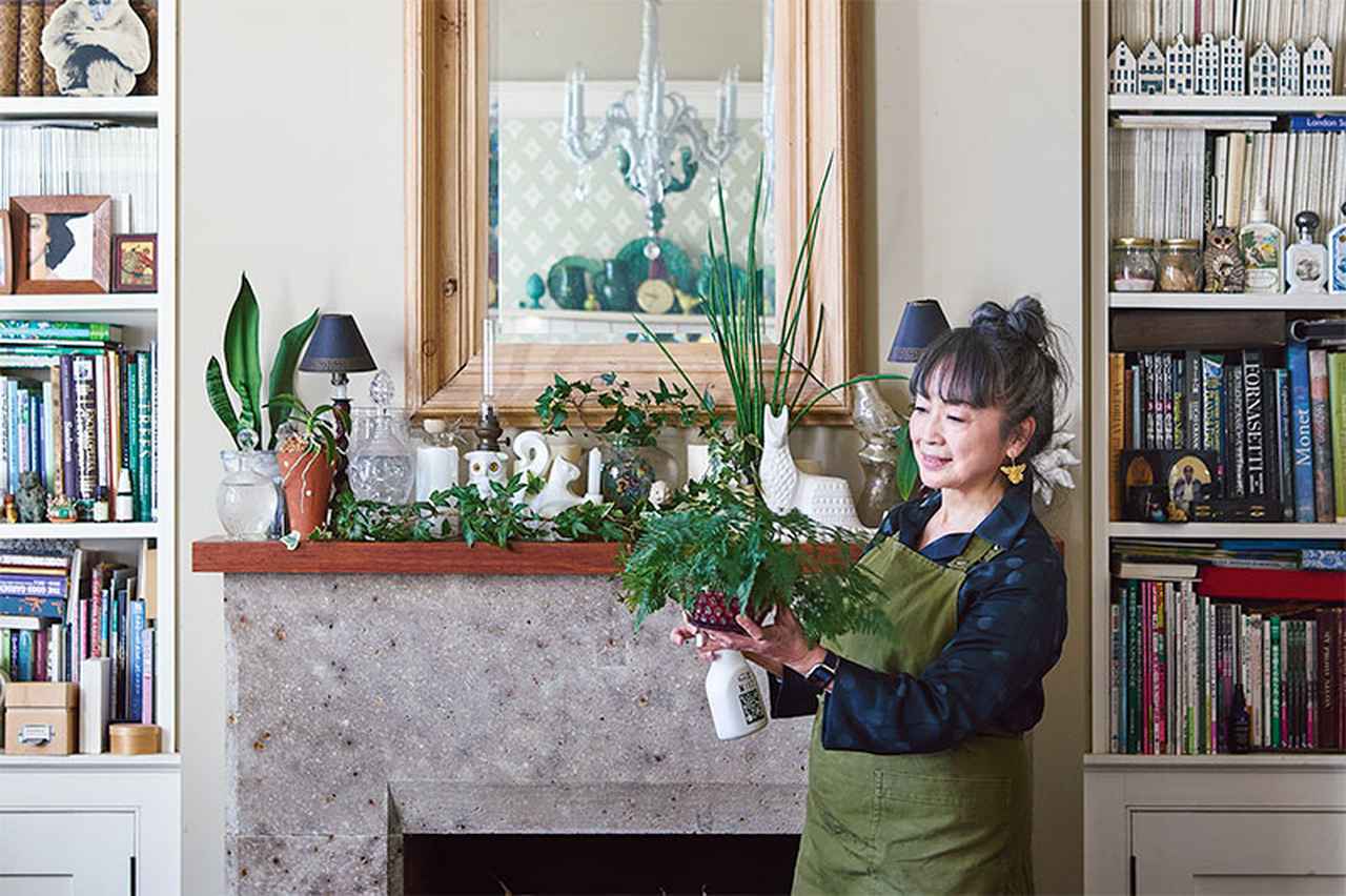 画像: ガーデンデザイナーに教わる、植物にとって“居心地のいい”部屋づくり。元気に育てば私も元気をもらえる／吉谷桂子さん - 天然生活web