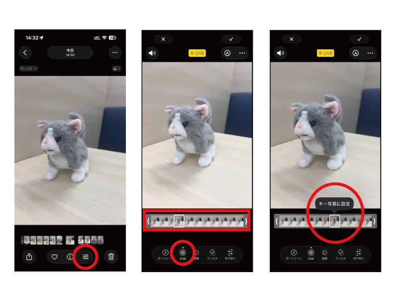 画像2: スマホで猫の「奇跡の1枚」を撮るコツ。スマホならではの撮影機能で“一瞬の表情”を逃さない！／プロカメラマンに教わる撮影術｜天然ねこ生活