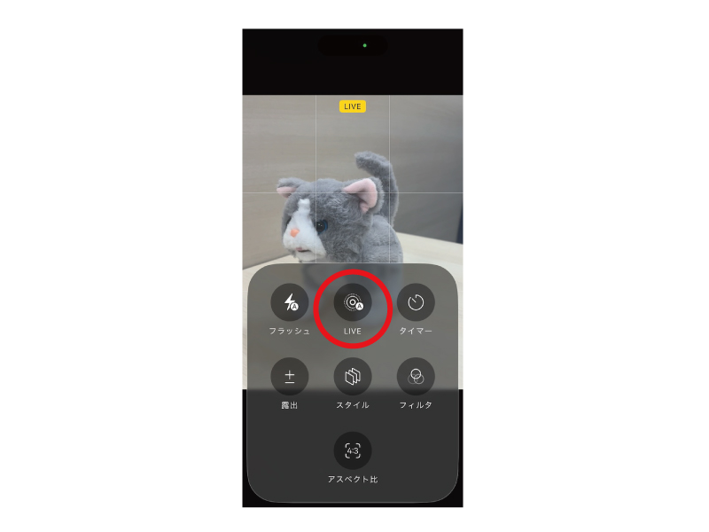 画像1: スマホで猫の「奇跡の1枚」を撮るコツ。スマホならではの撮影機能で“一瞬の表情”を逃さない！／プロカメラマンに教わる撮影術｜天然ねこ生活