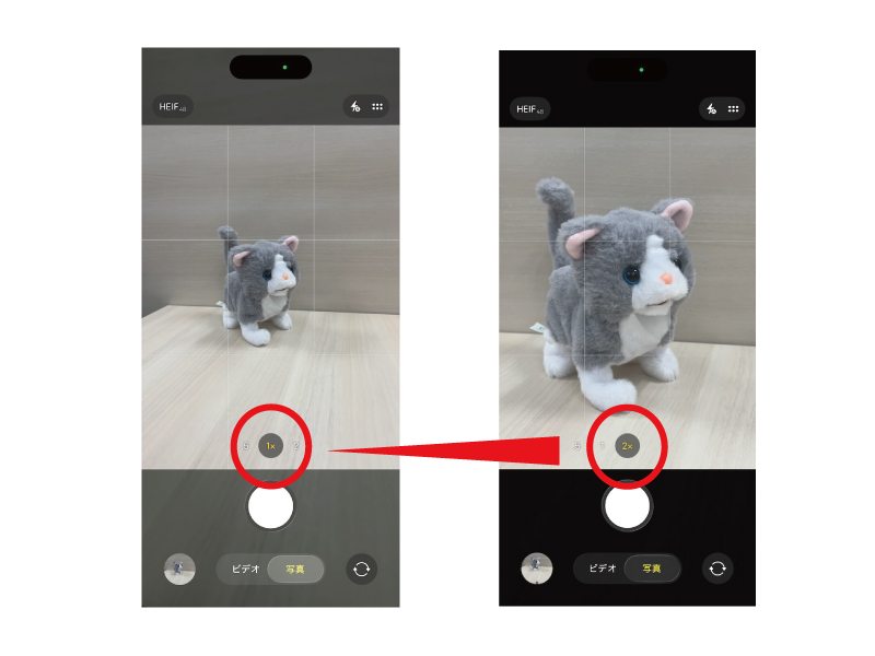 画像3: スマホで猫の「奇跡の1枚」を撮るコツ。スマホならではの撮影機能で“一瞬の表情”を逃さない!/プロカメラマンに教わる撮影術|天然ねこ生活
