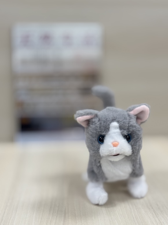画像: ポートレートモードを使用すると、背景をぼんやりさせることができます