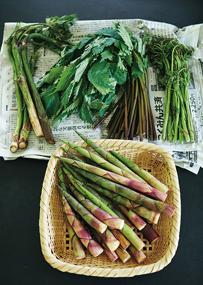 画像: みずみずしい夏野菜と香味野菜を入れるのがポイント。小川さんは山菜も加える。すべての野菜を同じように細かくきざんで