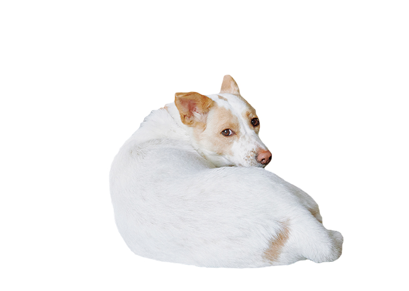 画像: まずは自分から心を開いて