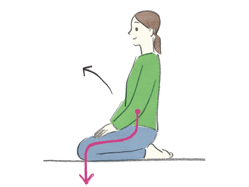 画像2: 正しく正座をするための動き