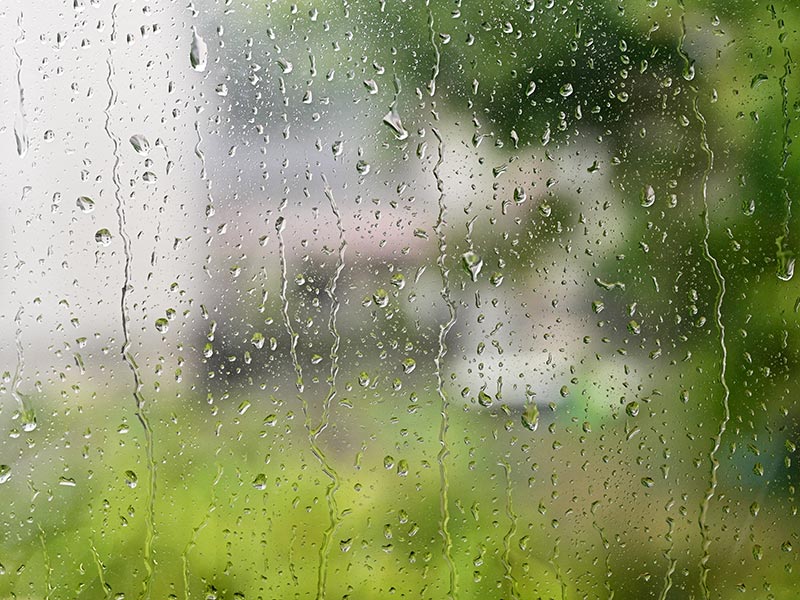画像: 6月は体の水はけをよくする養生で快適に