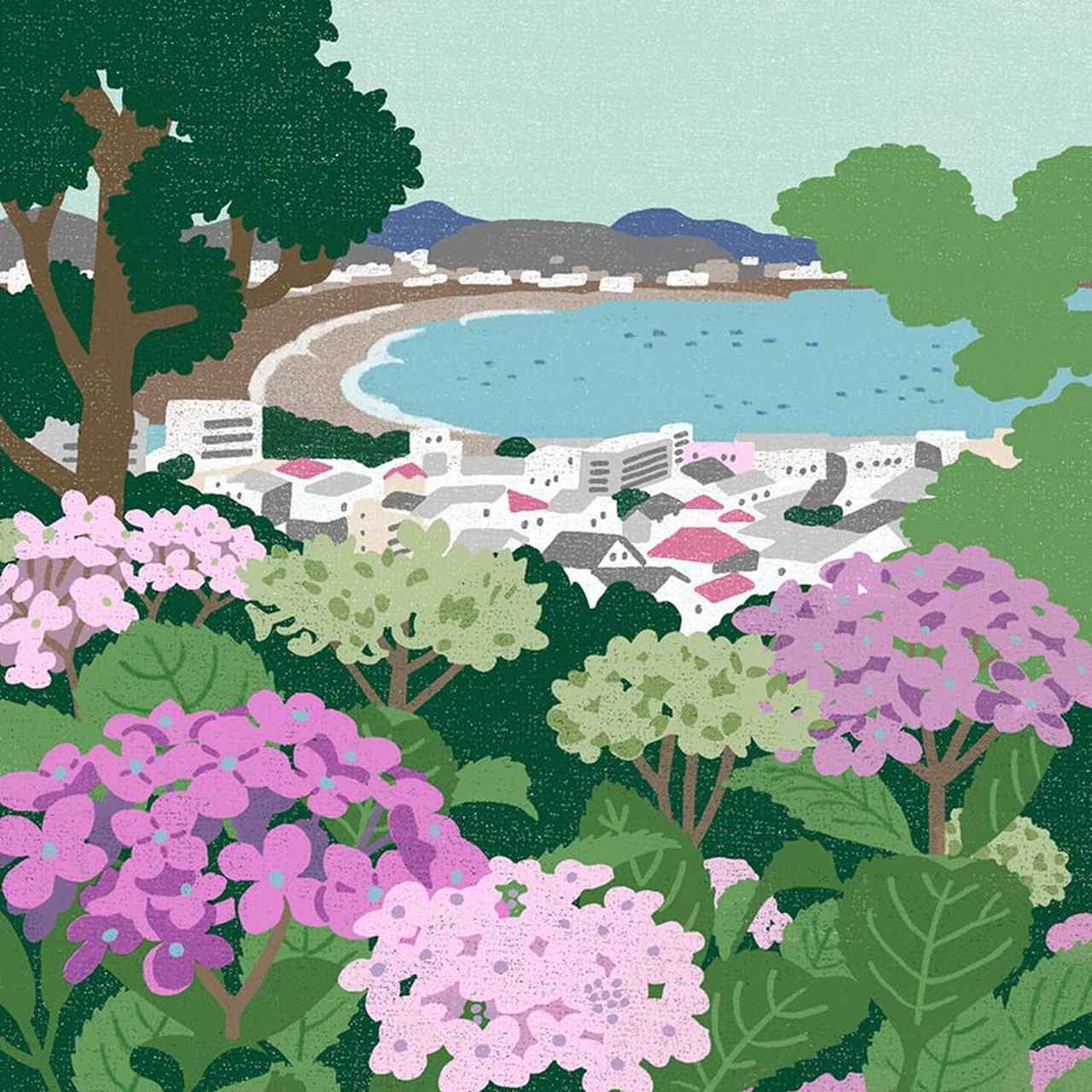 ちょっと難しいまちがい探し｜紫陽花（あじさい） (1/2) - 天然生活web