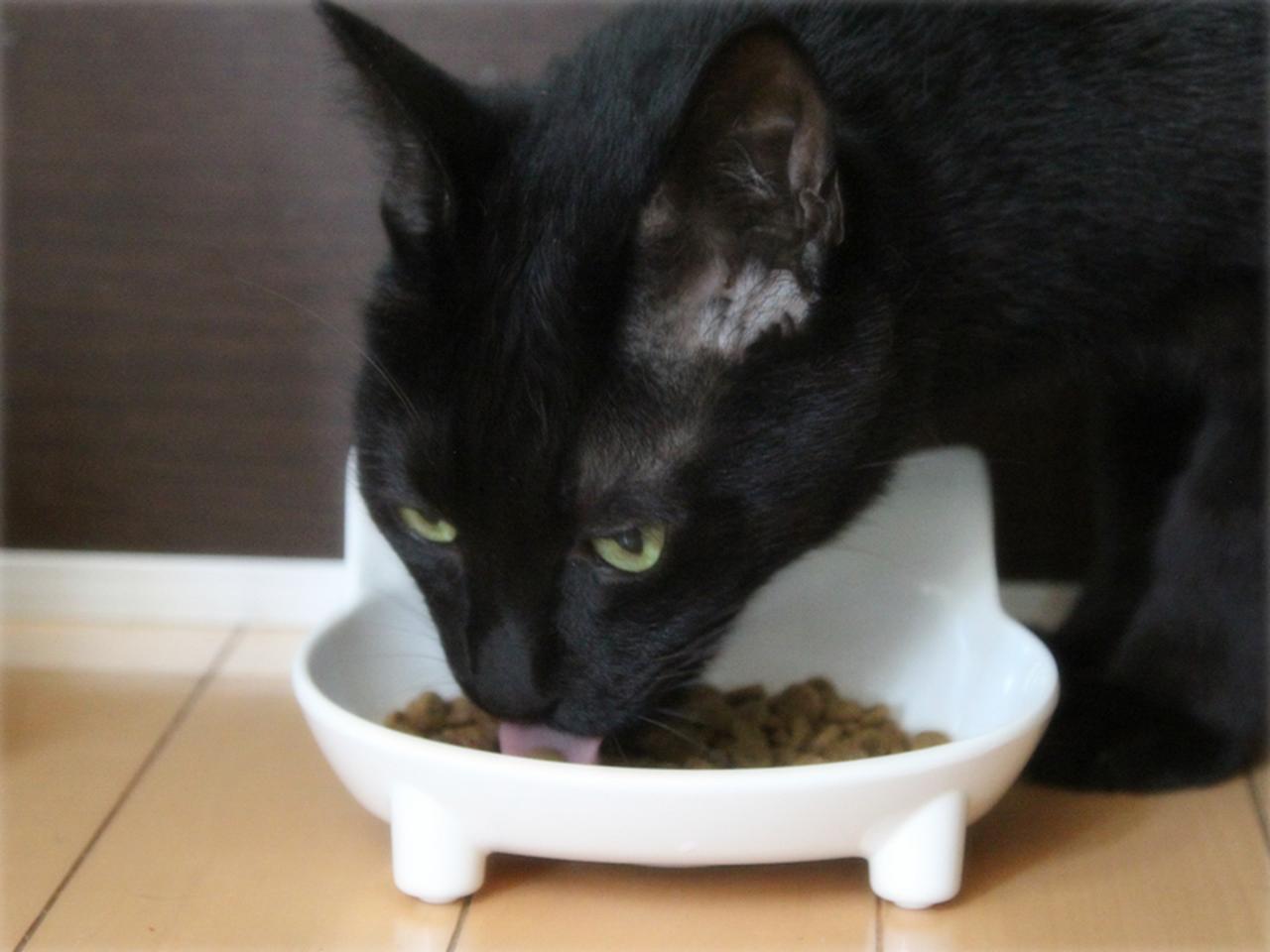 画像: カリカリの表面についた旨味成分をなめなめ