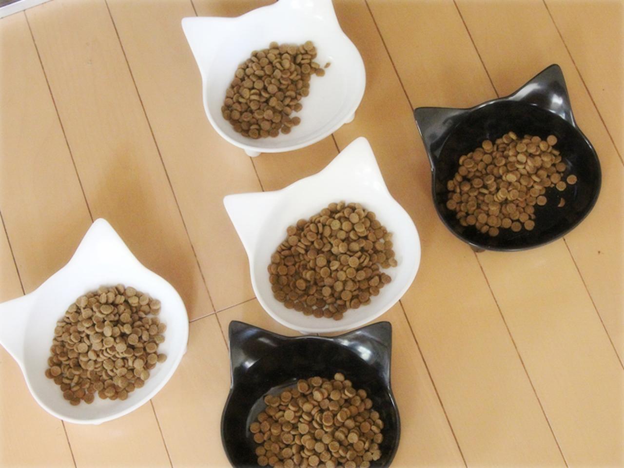 画像: これ以上減ると、誰も食べてくれません