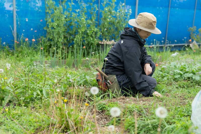 画像: 畑の中にいるだけで心が落ち着く 撮影/山川修一