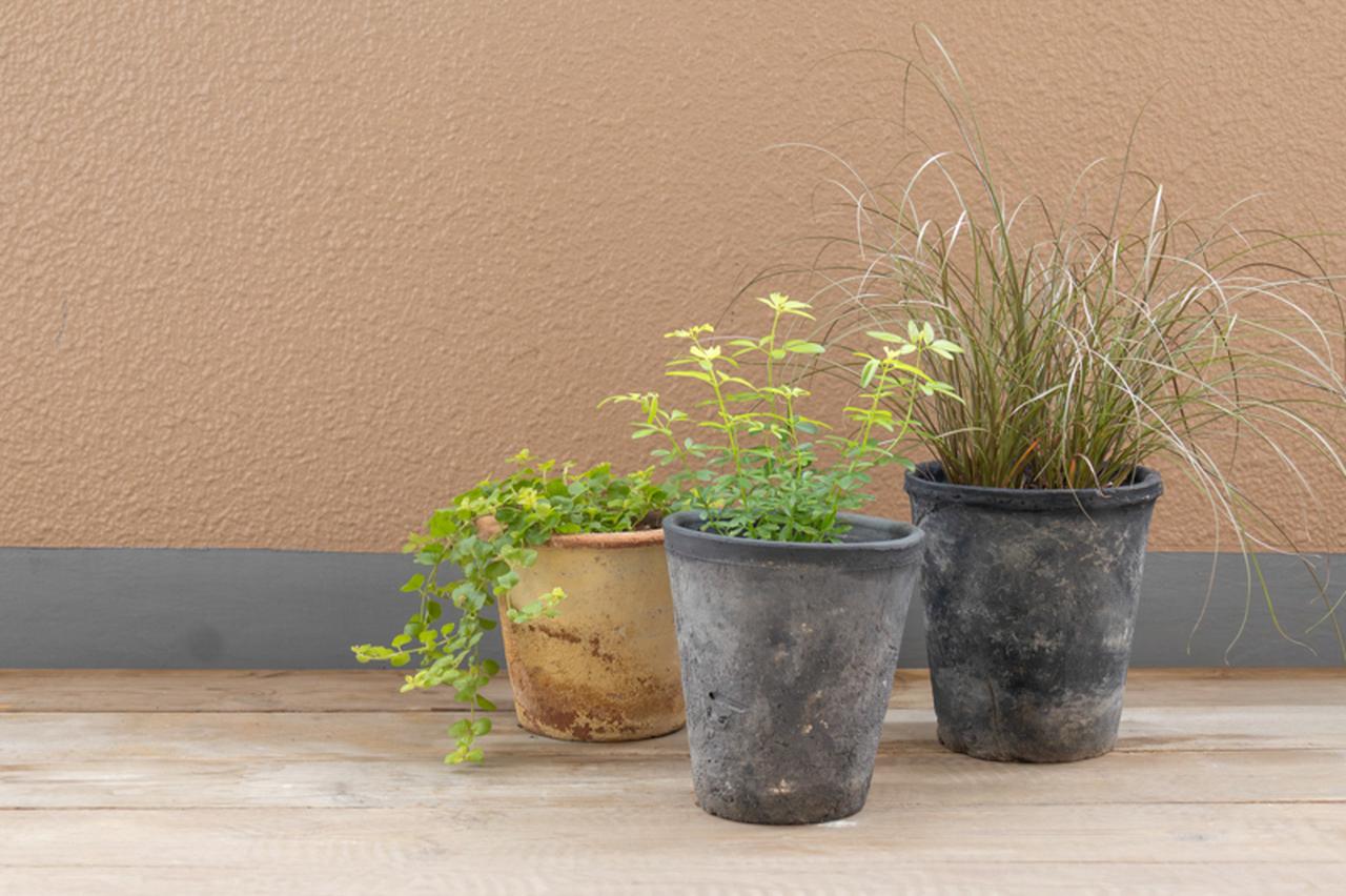 画像: 板を敷くだけで、同じ植物もやわらかな表情に。足元を整えることで、鉢と植物が景色になじんでいきます