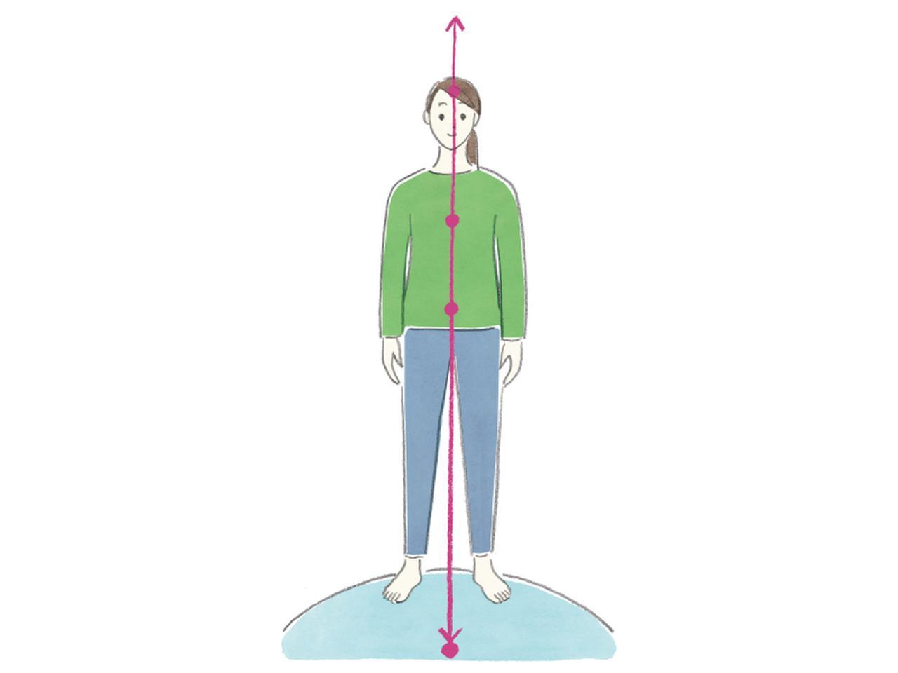 画像: 整体師に教わる“おなかや背骨”を意識した正しい姿勢のつくり方。整えるカギは「足の踏み方」4つのステップで美しくキープ/きゆるぎ治療院院長・片寄陽平さん - 天然生活web