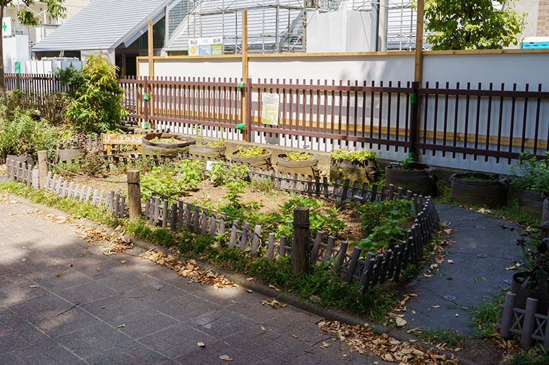 画像: 「ぽっぽのお庭」。地域の方々が育てている