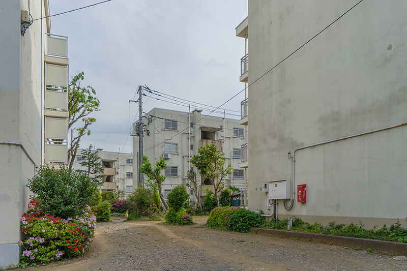 画像: 「桐ヶ丘団地」の大部分を占めていた板状階段室型住宅。このタイプは5階建てが一般的ですが、昭和30年に最初の3棟が完成した古い団地のためか、1フロア少ない4階建てになっています。東京都住宅局初の鉄筋コンクリート造の大規模団地だったため、よりよい住環境を目指して、現在の久米設計、市浦ハウジング&プランニングという大手設計事務所に配置計画を委託。規模としては当時世界第2位だったという記述もあり、とても力を入れてつくられた団地だったことがわかります