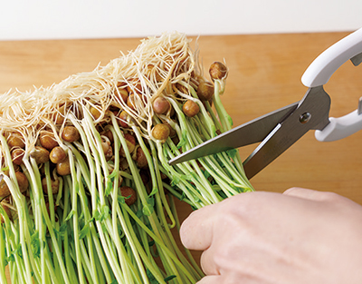 画像2: 「豆苗の下準備」はかんたん3ステップ