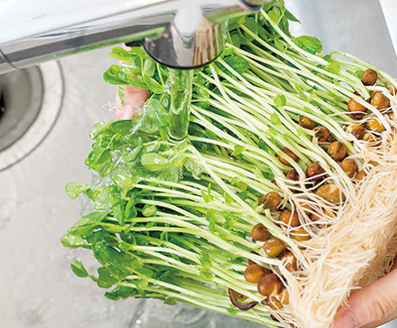 画像1: 「豆苗の下準備」はかんたん3ステップ