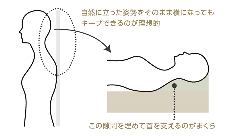 画像: 立っているときと同じ姿勢になるように