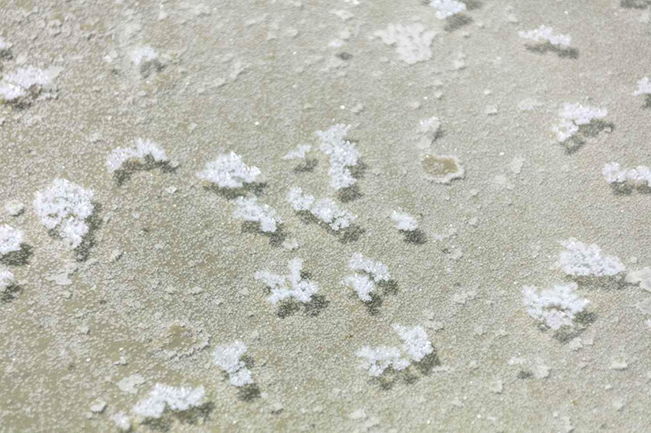 画像: フランス語で「塩の花」を意味する「フルール・ド・セル」