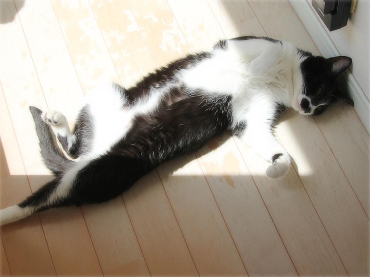 画像: いい匂いの風に吹かれて、いやされ中