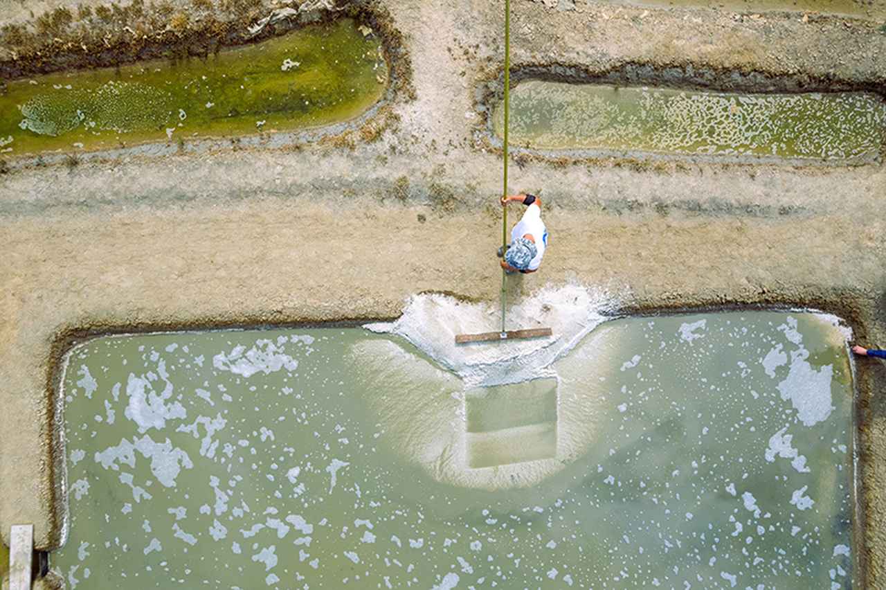 画像2: 海と太陽と風がつくりだす、自然の恵み「ゲランドの塩」