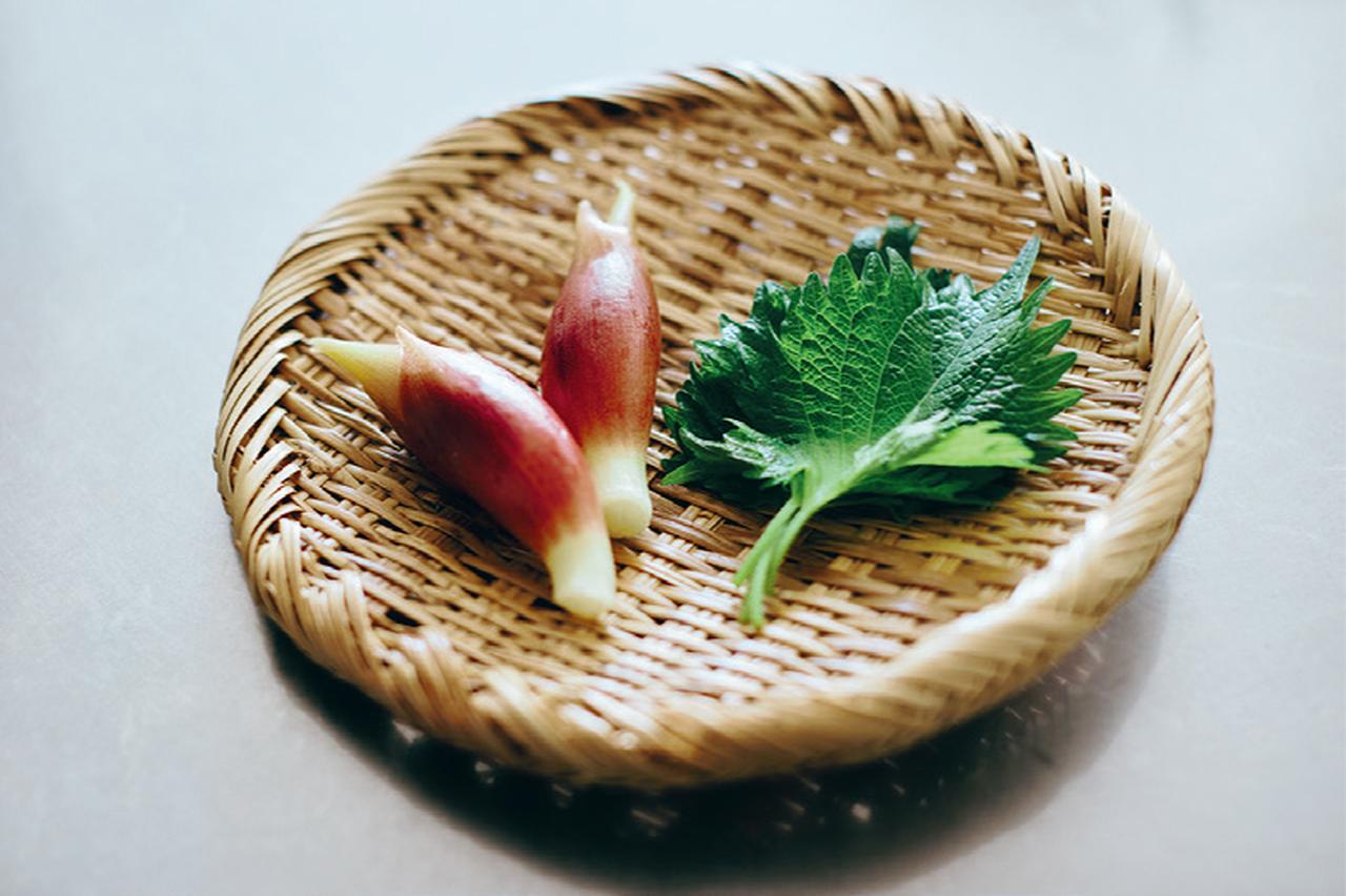 画像: 胃腸をいたわる、ポテトサラダ