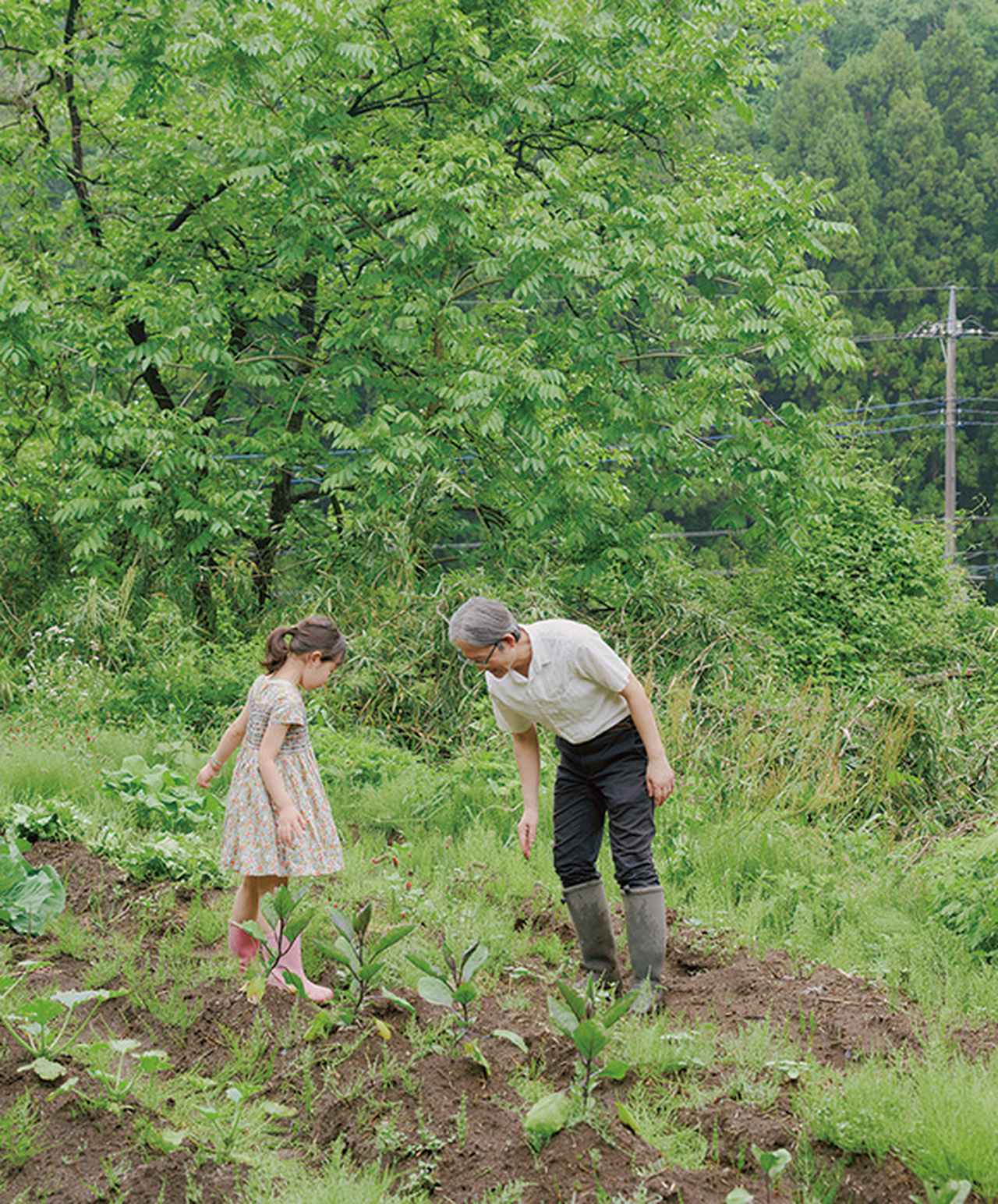 画像: 敷地内にある畑。娘のカスミちゃんと一緒にさまざまな夏野菜を育てている